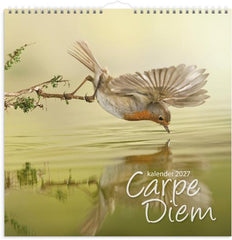 Väggkalender Carpe Diem 2027