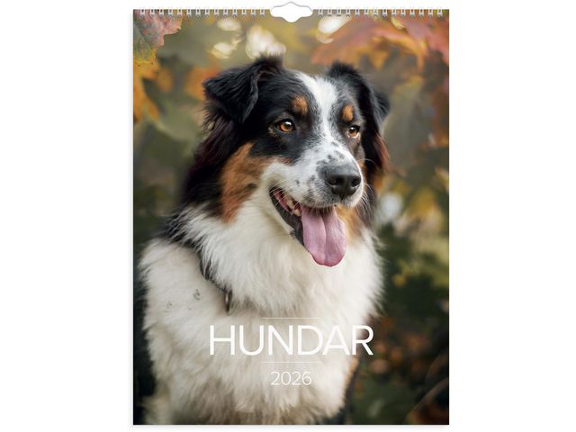 VĂ€ggkalender Stora Hundkalendern 2026 Primmeshiper