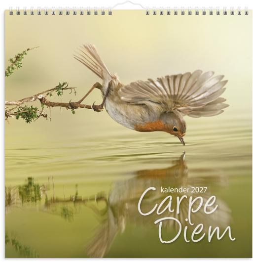 Väggkalender Carpe Diem 2027